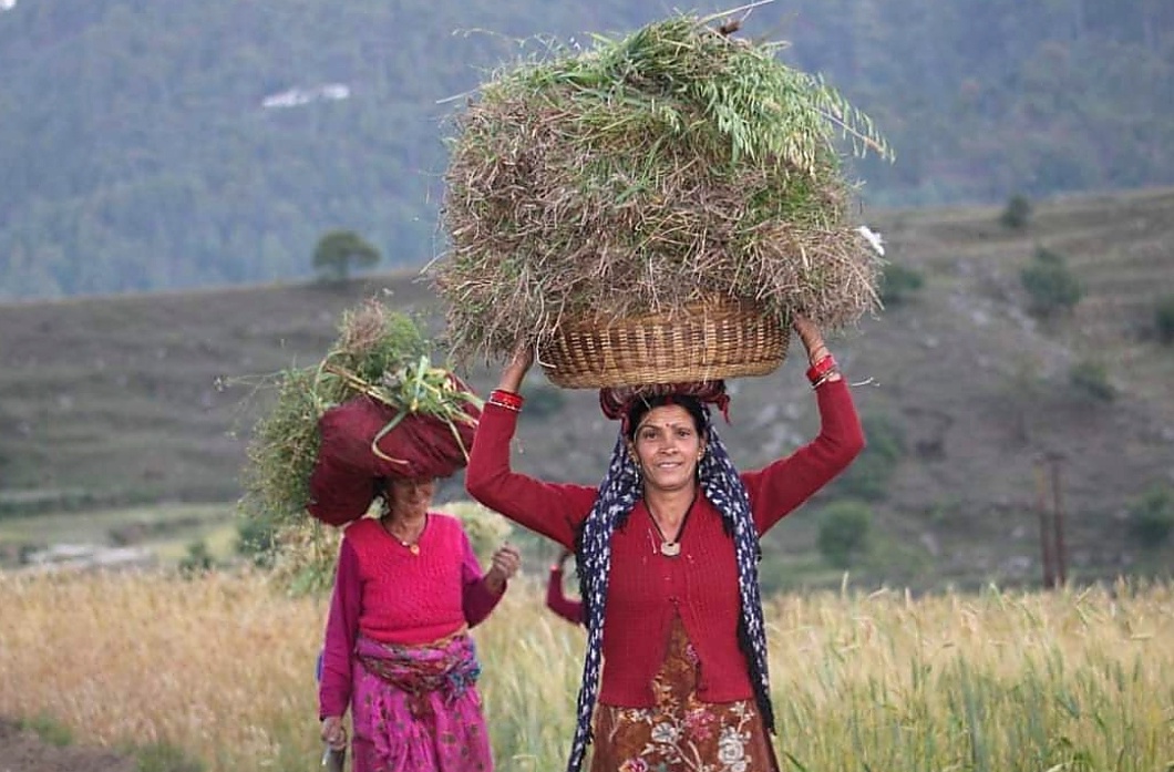 Women carrying grass bundles in rural Uttarakhand