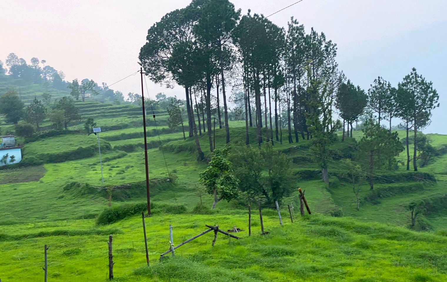 Terraced landscape in rural Uttarakhand