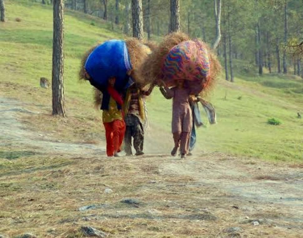 Women sorting and processing Pirul biomass in Bamoli village Uttarakhand