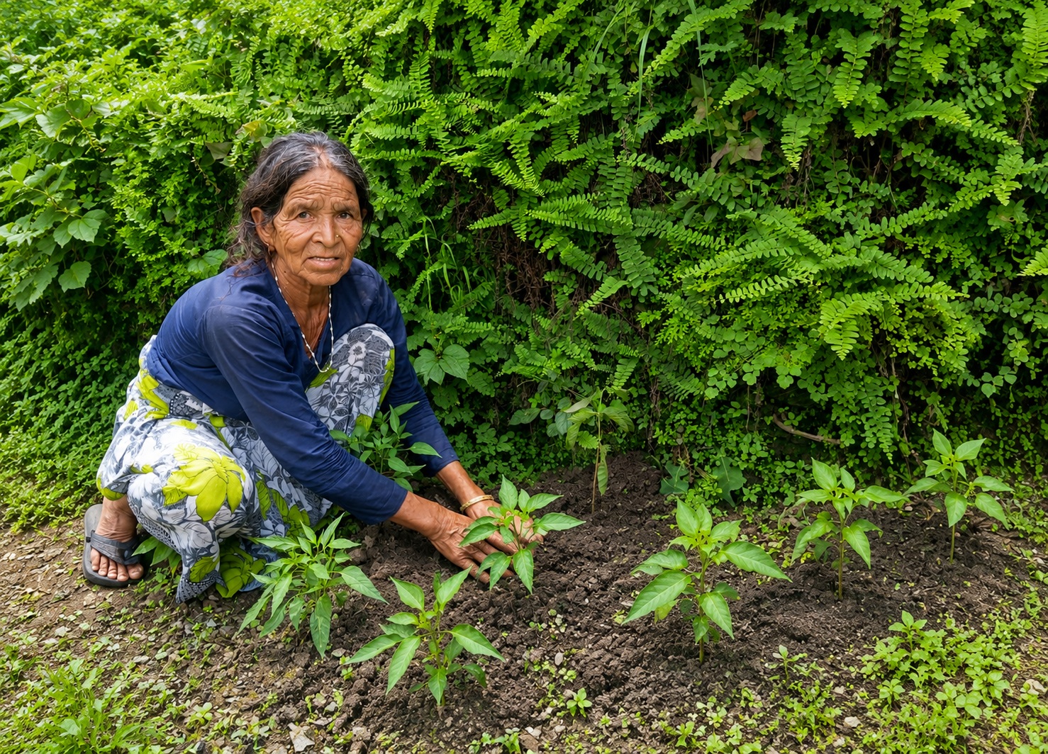 Village woman planting sapling during community plantation drive in Uttarakhand